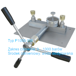 SIKA P1000GW