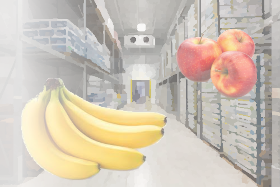 banana storages