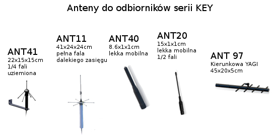 key 11 ant