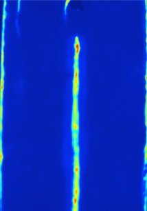 termogram amplitudowy